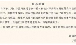 白术爆料最新,揭秘娱乐圈幕后真相，明星隐私大曝光！