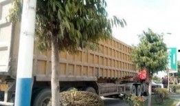 玉林二环爆料事件视频最新,真相与争议交织的街头冲突