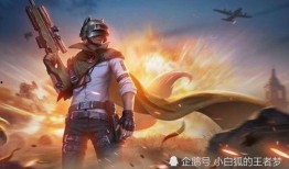 s13吃鸡皮肤爆料最新,揭秘全新视觉盛宴